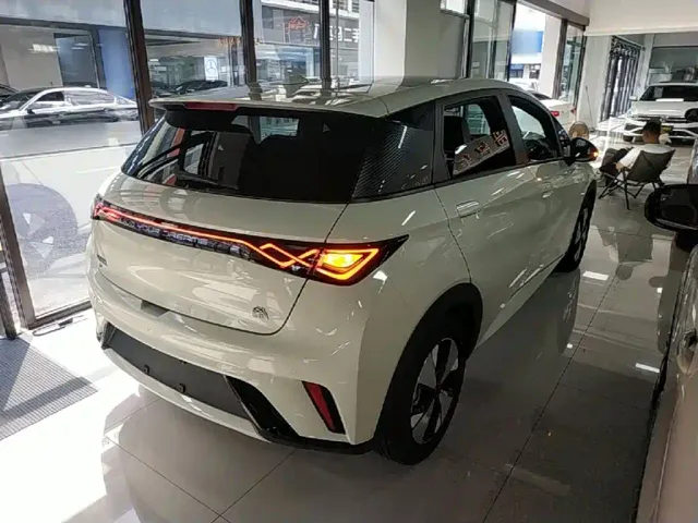 BYD Dolphin — Фото автомобиля 6