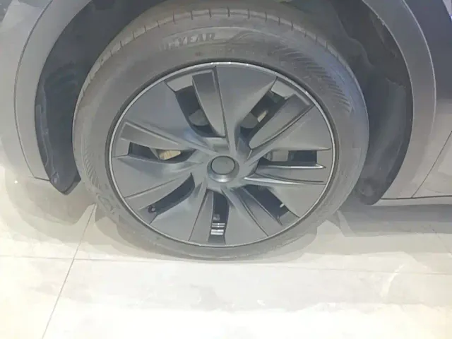 Tesla Model Y — Фото автомобиля 22