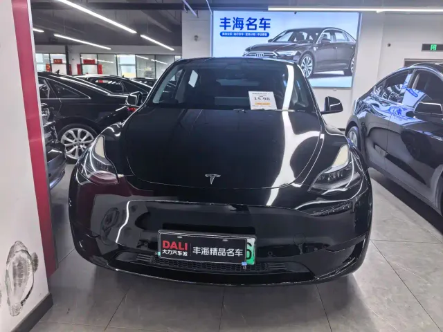 Tesla Model Y — Фото автомобиля 2