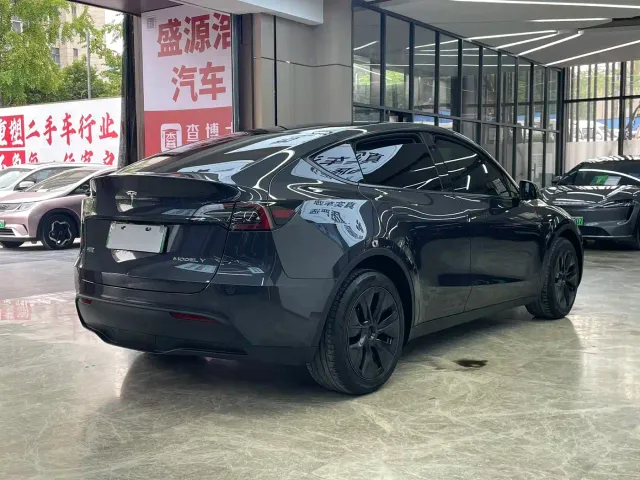 Tesla Model Y — Фото автомобиля 7