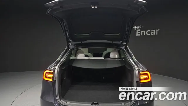 Tesla Model Y — Фото автомобиля 26