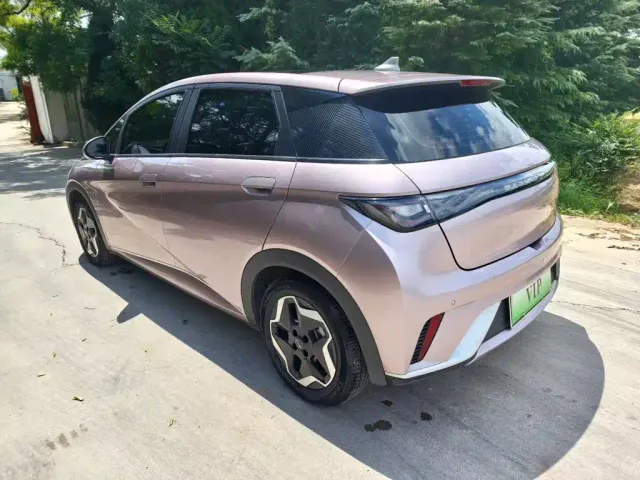 BYD Dolphin 2025 420km Freedom Edition — Фото автомобиля 23