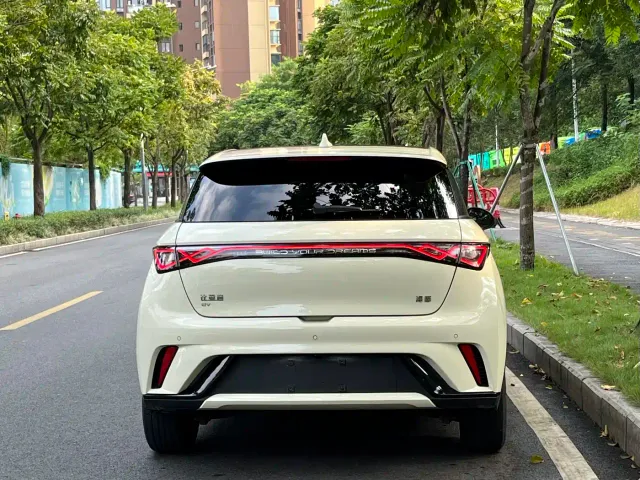 BYD Dolphin — Фото автомобиля 4
