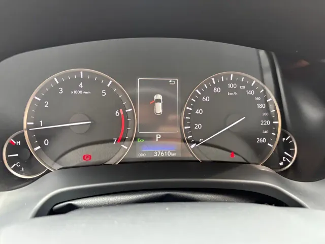 Lexus RX — Фото автомобиля 14