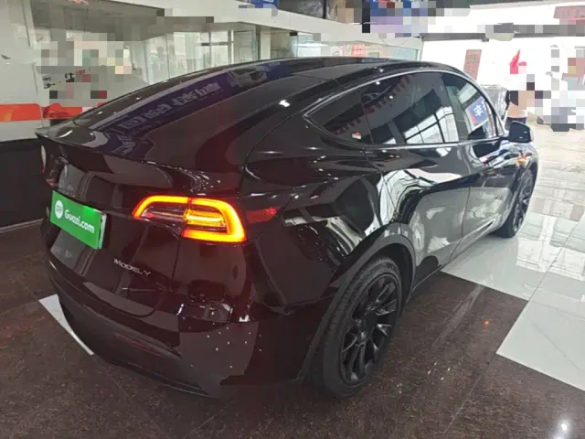 Tesla Model Y — Фото автомобиля 6