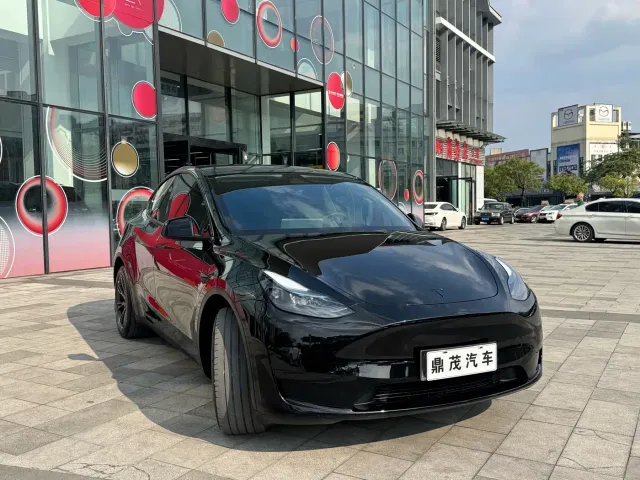 Tesla Model Y — Фото автомобиля 6