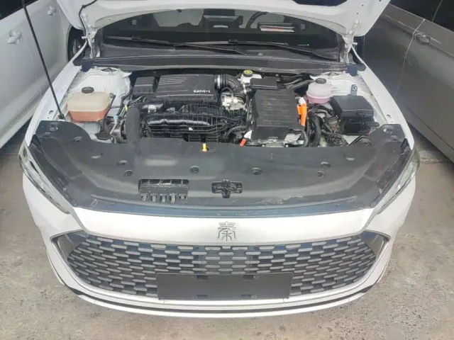 BYD Qin PLUS — Фото автомобиля 19
