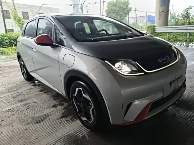 BYD Dolphin — Фото автомобиля 3