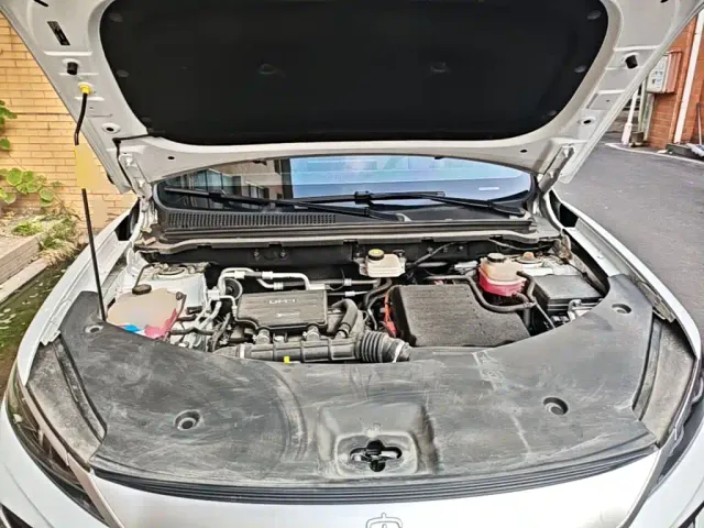BYD Song Pro — Фото автомобиля 19