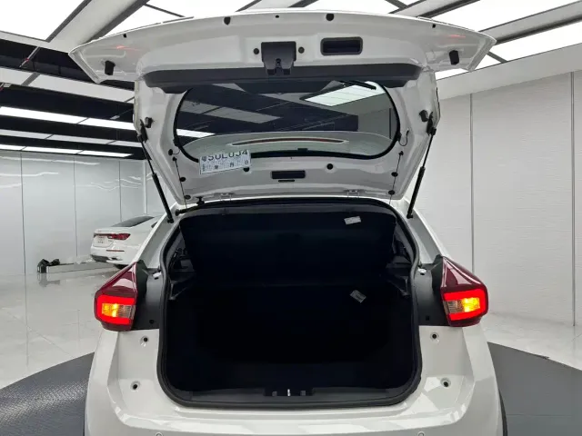 Chery Tiggo 3x — Фото автомобиля 19