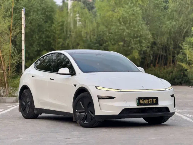Tesla Model Y — Фото автомобиля 3