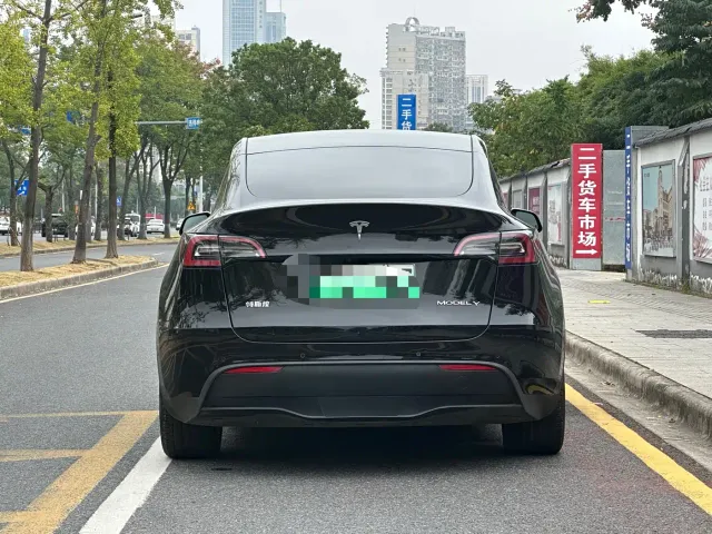 Tesla Model Y — Фото автомобиля 10