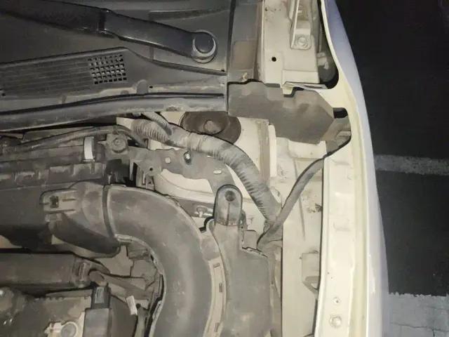 Nissan Sylphy — Фото автомобиля 19