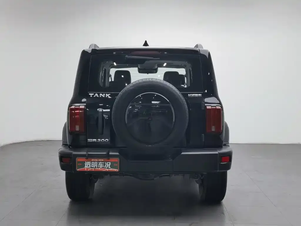 Tank Tank 300 2021 Off-road Edition 2.0T Challenger — Фото автомобиля 4