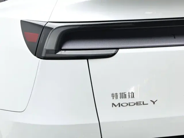 Tesla Model Y — Фото автомобиля 7