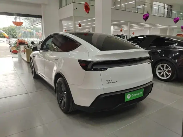 Tesla Model Y — Фото автомобиля 4