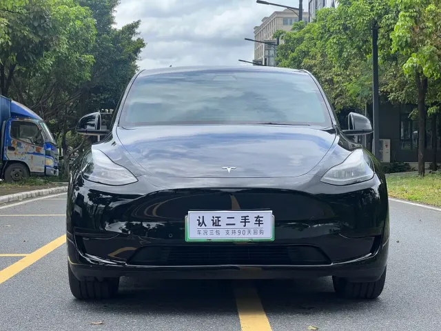 Tesla Model Y — Фото автомобиля 2
