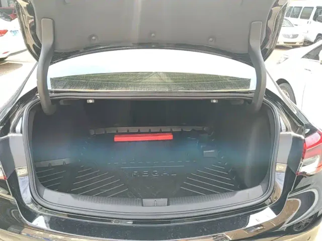 Buick Regal — Фото автомобиля 18