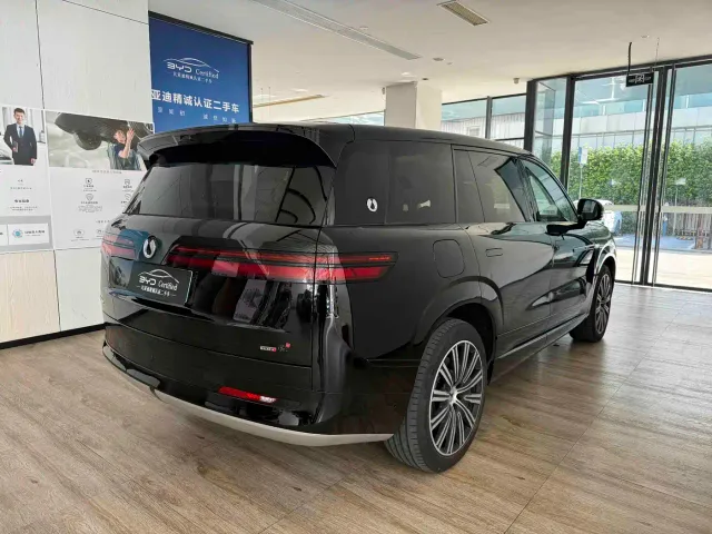 Denza N9 — Фото автомобиля 8
