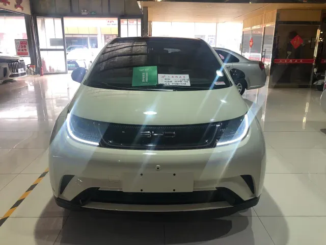 BYD Dolphin 2021 Model 405km Fashion Edition — Фото автомобиля 2