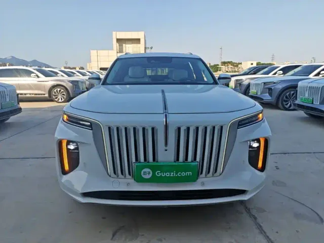Hongqi E-HS9 — Фото автомобиля 2