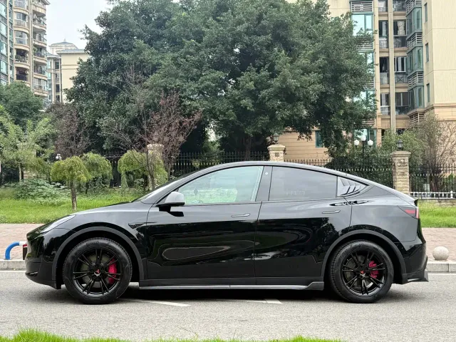 Tesla Model Y — Фото автомобиля 4