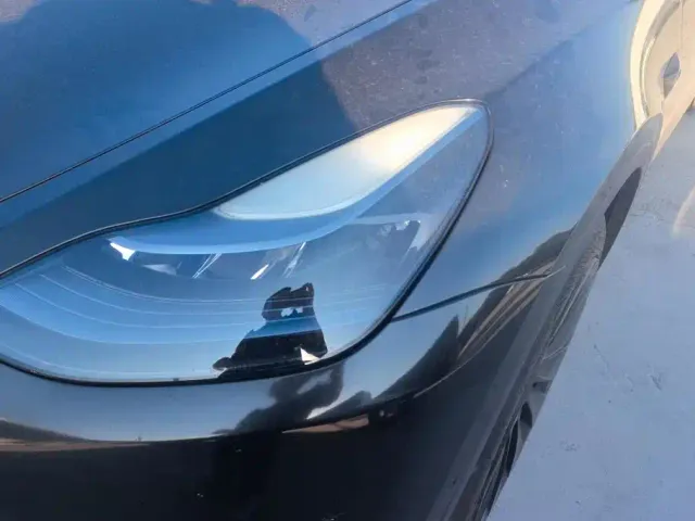 Tesla Model Y — Фото автомобиля 5
