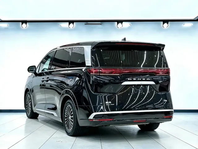 Denza D9 — Фото автомобиля 6