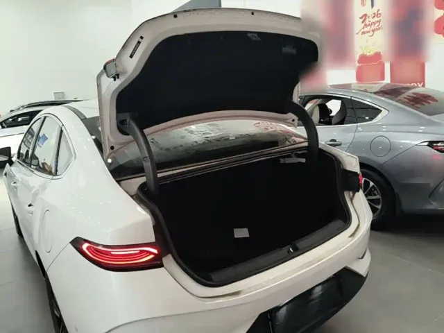 BYD Qin PLUS — Фото автомобиля 18