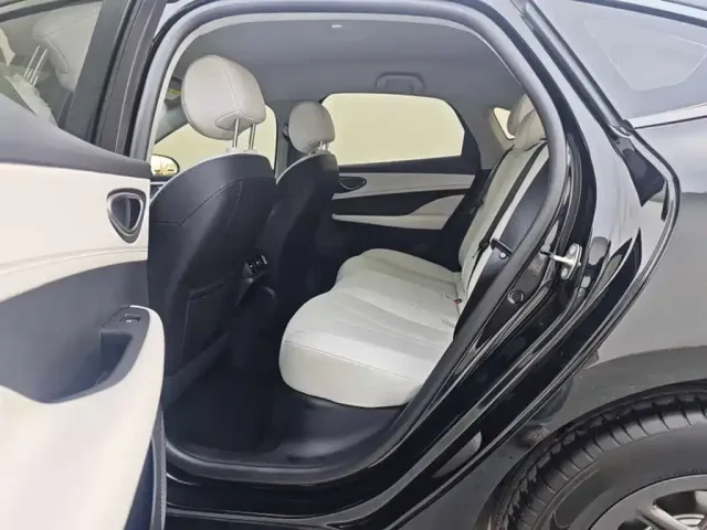 BYD Hai Bao 05 DM-i 2025 DM-i Smart Drive Edition 55KM Luxury — Фото автомобиля 15