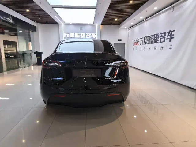 Tesla Model Y — Фото автомобиля 6