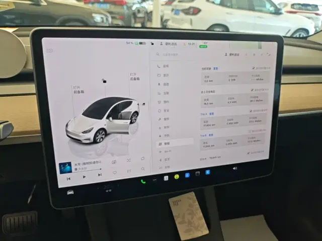 Tesla Model Y — Фото автомобиля 11