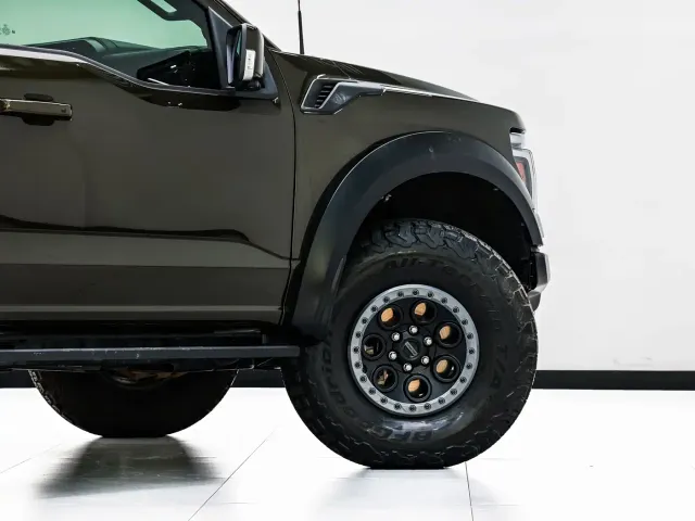 Ford F-150 Raptor — Фото автомобиля 20