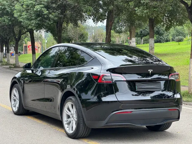 Tesla Model Y — Фото автомобиля 4