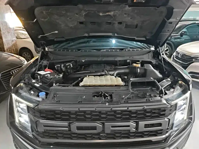 Ford F-150 Raptor — Фото автомобиля 19
