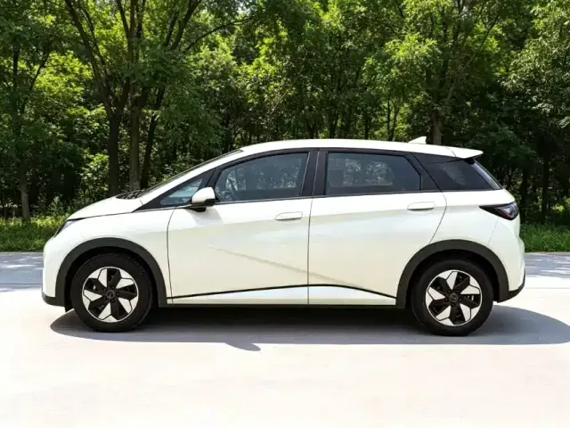 BYD Dolphin — Фото автомобиля 15
