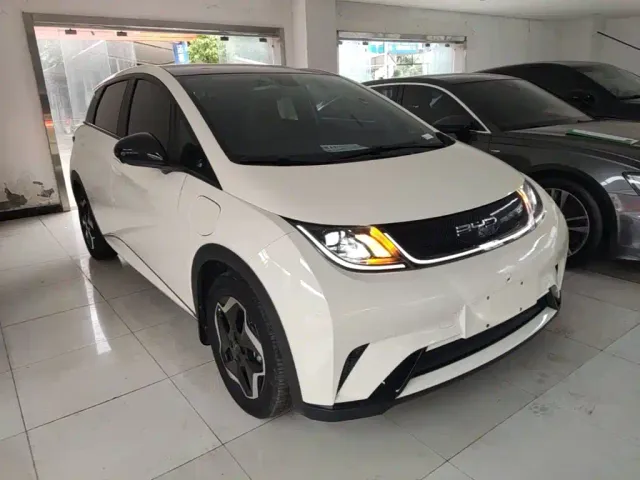 BYD Dolphin — Фото автомобиля 3