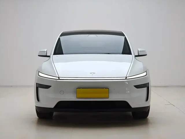 Tesla Model Y — Фото автомобиля 2