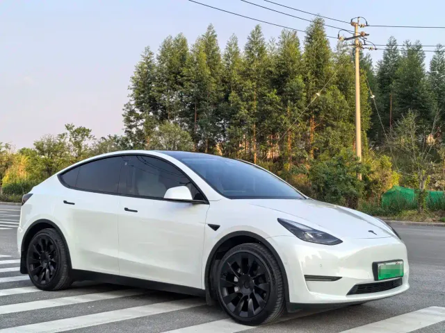 Tesla Model Y — Фото автомобиля 4