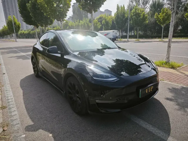 Tesla Model Y — Фото автомобиля 3