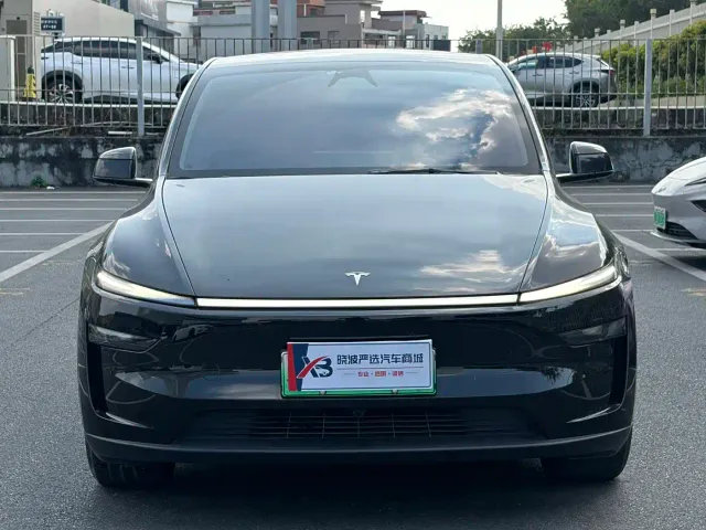 Tesla Model Y — Фото автомобиля 2