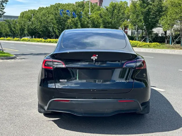 Tesla Model Y — Фото автомобиля 9