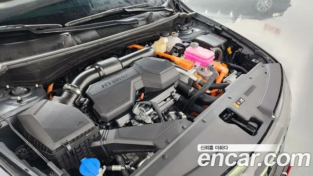 Kia Sportage — Фото автомобиля 5
