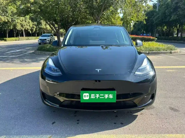 Tesla Model Y — Фото автомобиля 2