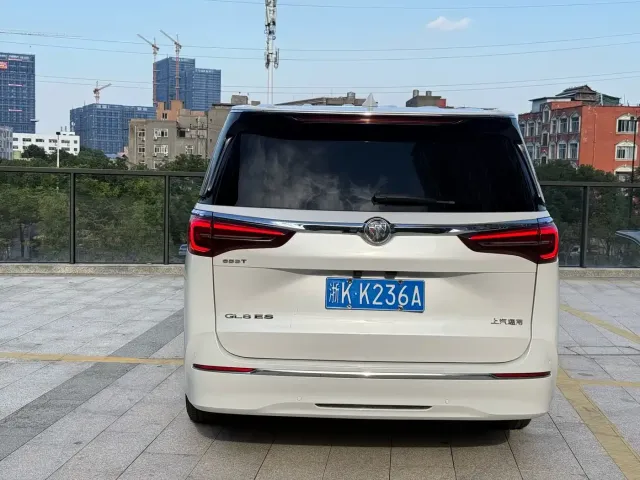 Buick Buick GL8 2021 ES Landlord 653T Premium — Фото автомобиля 19