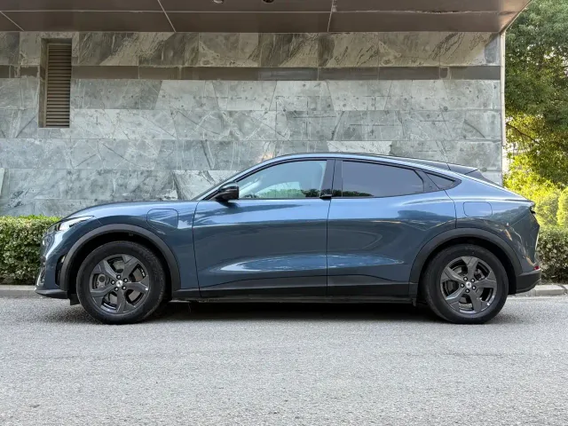 Ford Mustang Mach-E — Фото автомобиля 7