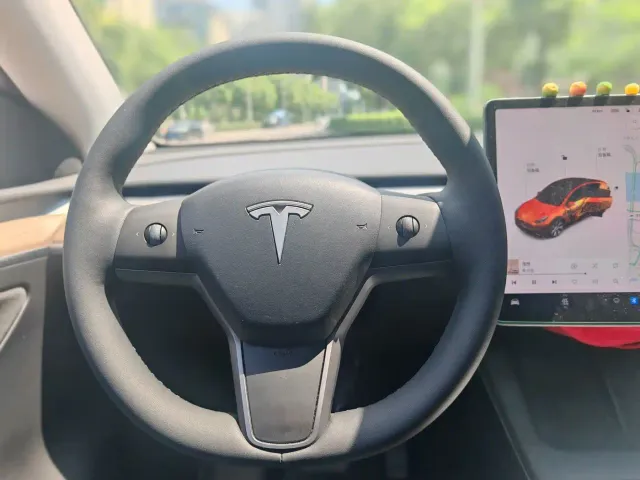 Tesla Model Y — Фото автомобиля 15
