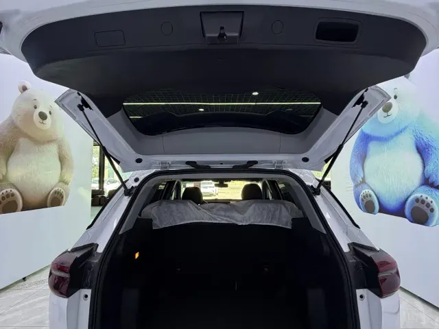 Chery Tiggo 7 PLUS — Фото автомобиля 20
