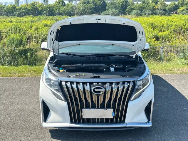 GAC Trumpchi M8 — Фото автомобиля 21