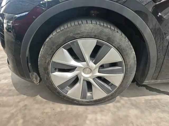 Tesla Model Y — Фото автомобиля 22